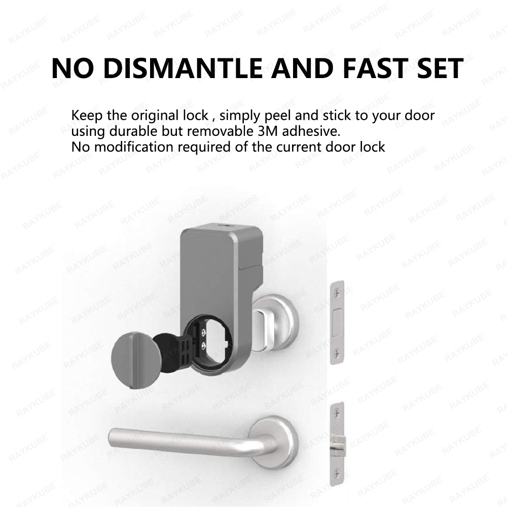 RAYKUBE A1 Pro Tuya BEL 스마트 도어 - Home Security Keypad 리뷰 및 가격
