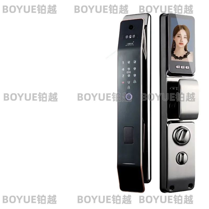 아연 합금 스마트 도어락, 얼굴 인식 및 지문 스캐너, - Home Security Lock System 리뷰 및 가격