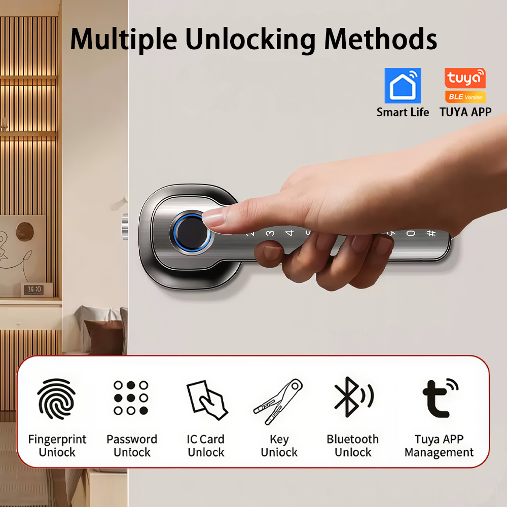 RAYKUBE HL50 Tuya 블루투스 스마트 도어  - Home Security Keypad 리뷰 및 가격