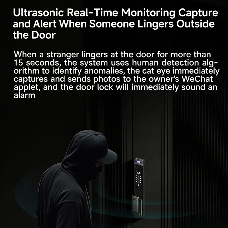 샤프 S5-FV 완전 자동 스마트 잠금장치 얼굴 인식, - Home Security Keypad 리뷰 및 가격