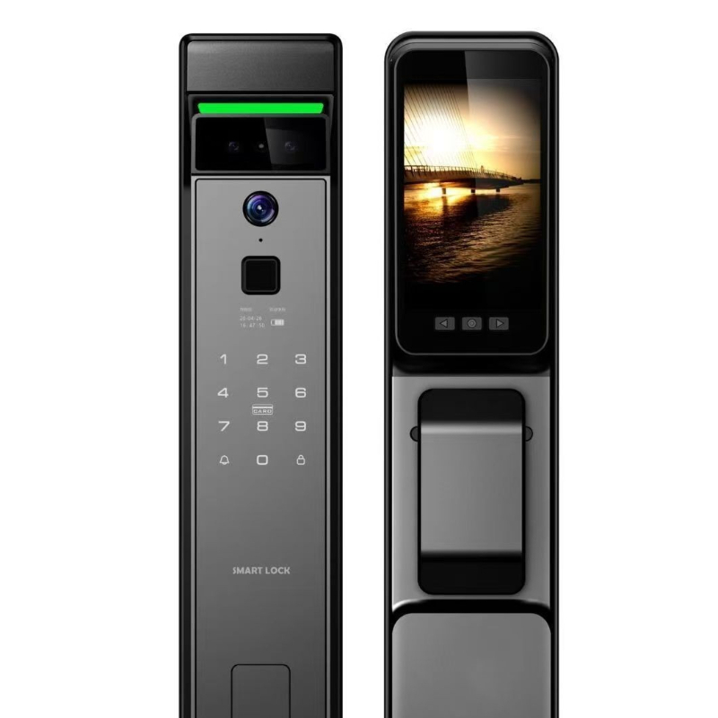 3D 얼굴 인식 지문 잠금 해제 출입문 비밀번호 TUY - Home Security Keypad 리뷰 및 가격