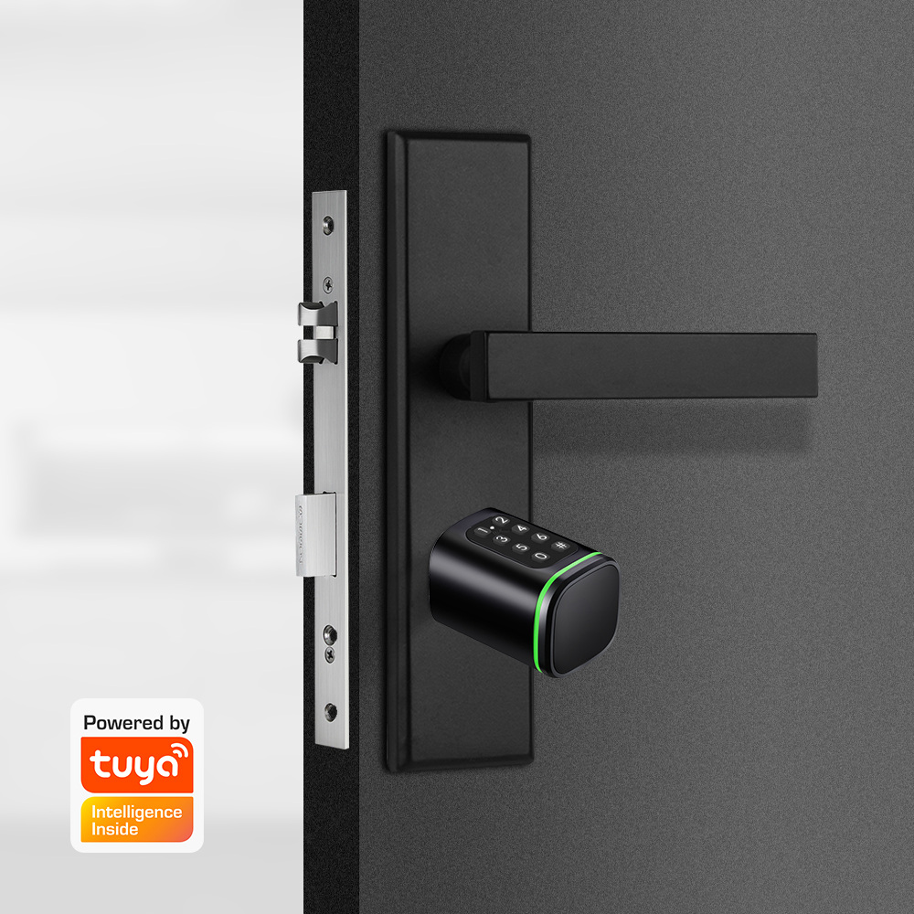 스마트 실린더 잠금 장치 Tuya 60-90mm 전기  - Home Security Keypad 리뷰 및 가격